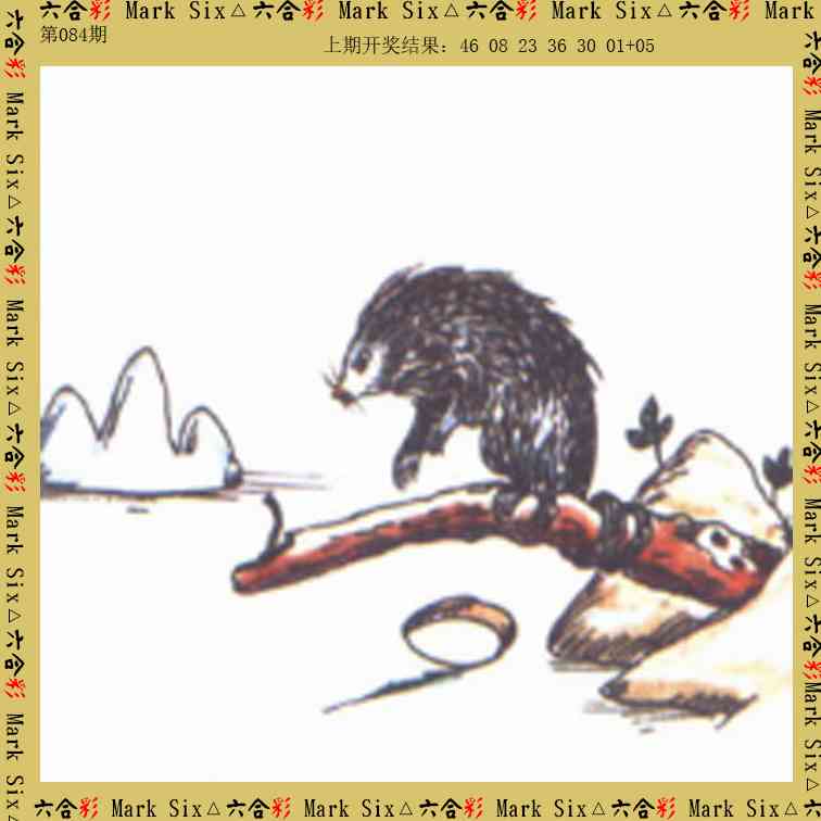 084期藏宝图[图]